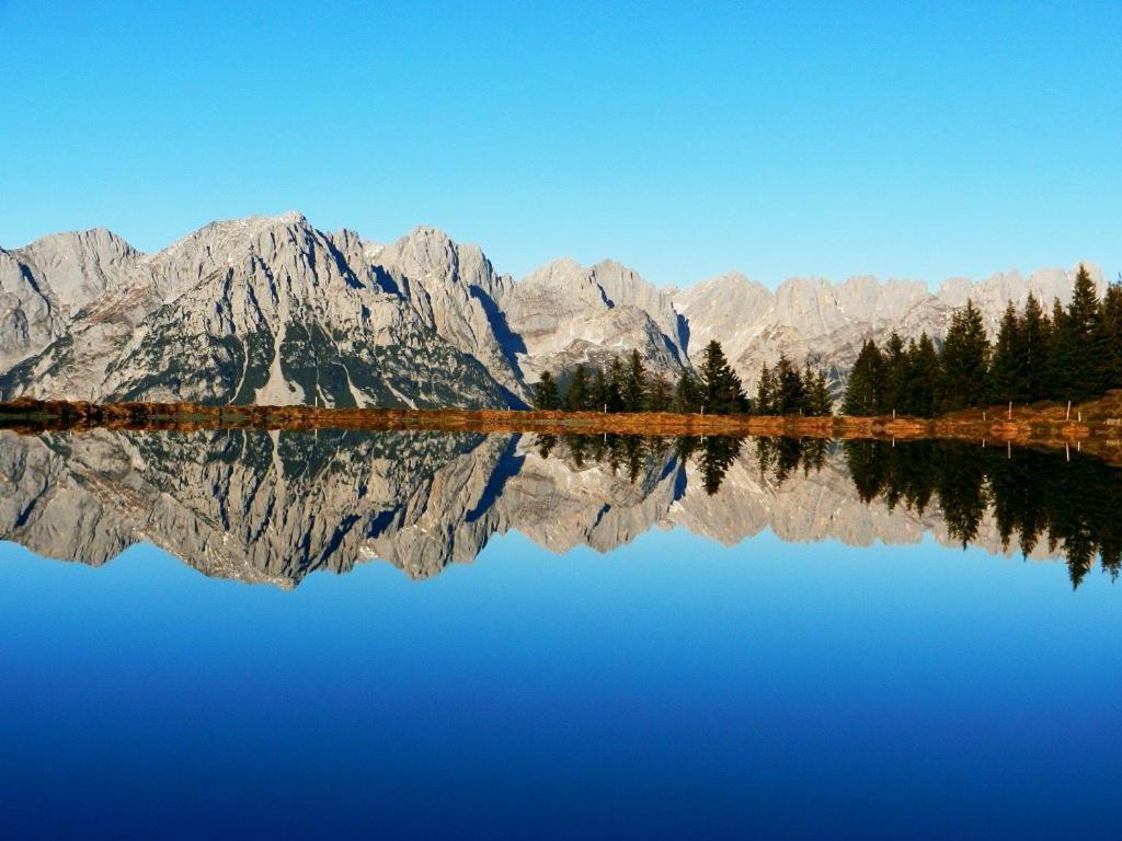 Ferienwohnungen Salvenmoser Johanna Scheffau am Wilden Kaiser Exterior foto