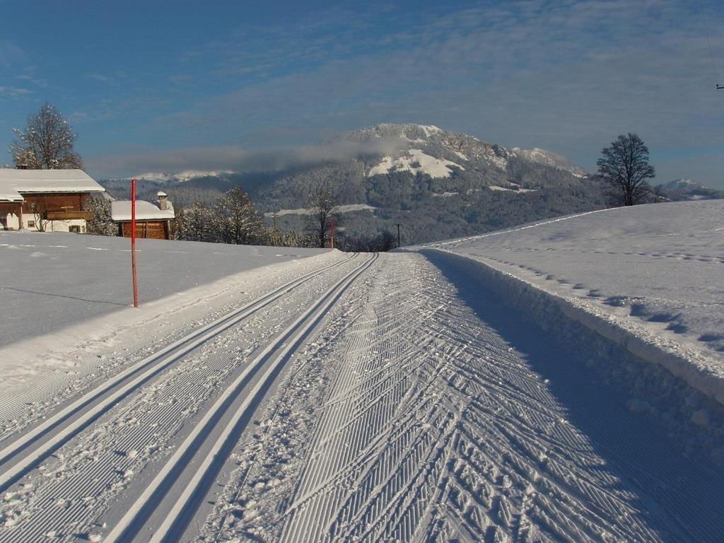 Ferienwohnungen Salvenmoser Johanna Scheffau am Wilden Kaiser Exterior foto