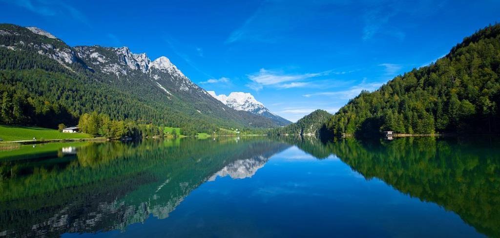 Ferienwohnungen Salvenmoser Johanna Scheffau am Wilden Kaiser Exterior foto