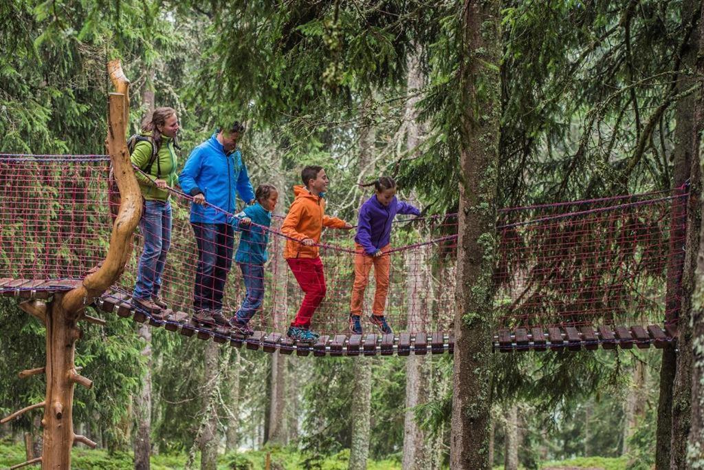 Ferienwohnungen Salvenmoser Johanna Scheffau am Wilden Kaiser Exterior foto