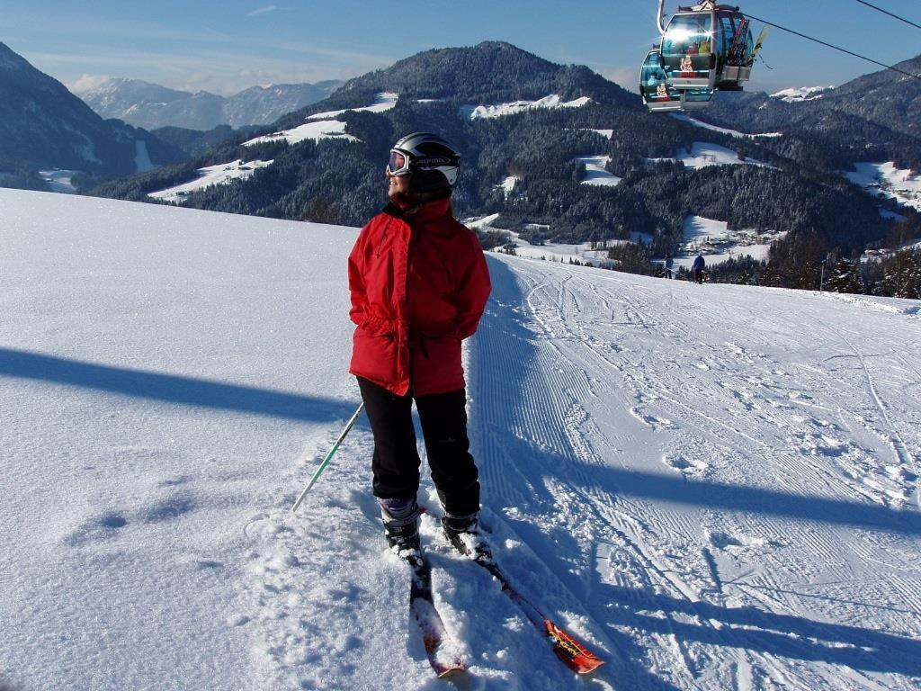 Ferienwohnungen Salvenmoser Johanna Scheffau am Wilden Kaiser Exterior foto