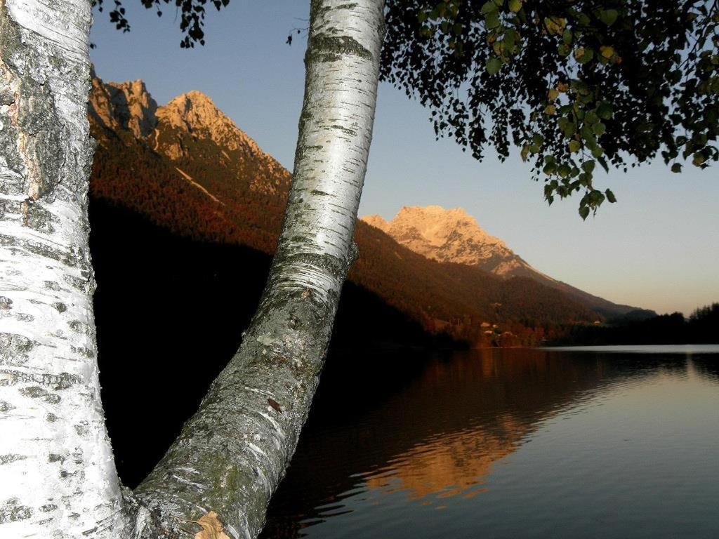 Ferienwohnungen Salvenmoser Johanna Scheffau am Wilden Kaiser Exterior foto
