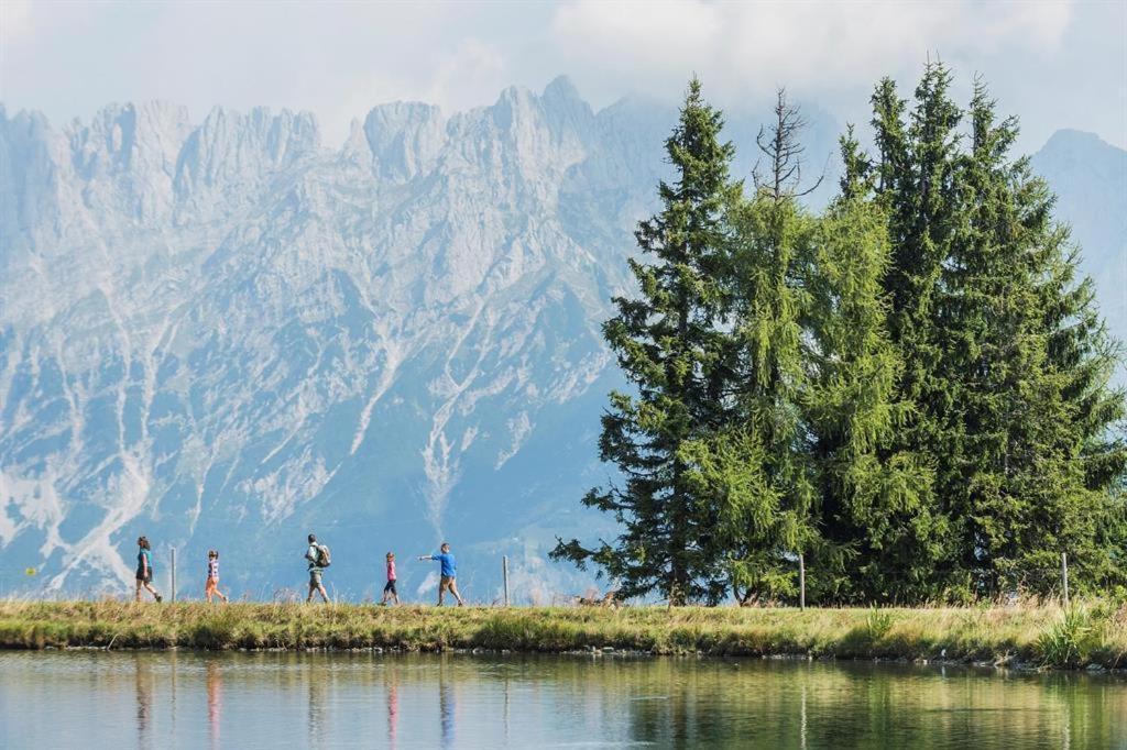 Ferienwohnungen Salvenmoser Johanna Scheffau am Wilden Kaiser Exterior foto